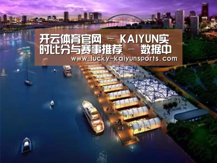 案例展示八