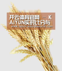 开云体育官网 - KAIYUN实时比分与赛事推荐 - 数据中心