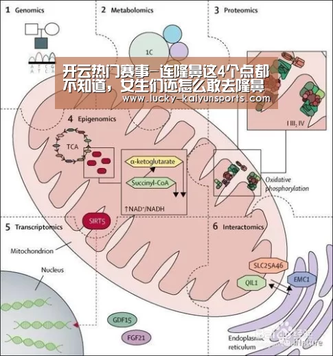 开云热门赛事-连隆鼻这4个点都不知道,女生们还怎么敢去隆鼻变气质女神(图4) 开云体育首页