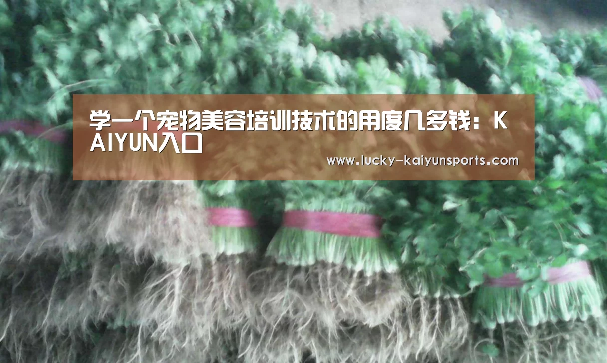 开云官方服务