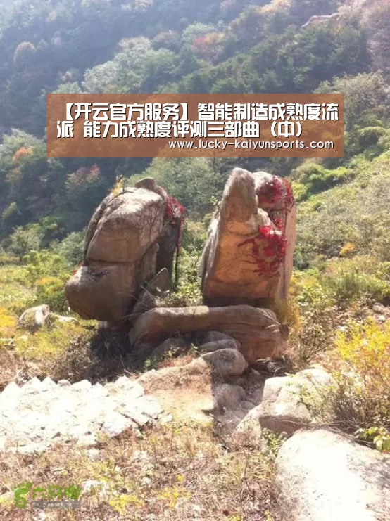 开云体育首页