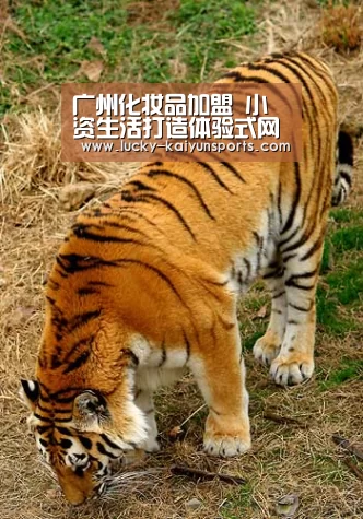 广州化妆品加盟 小资生活打造体验式网红美妆店:开云官方服务(图4) 开云体育